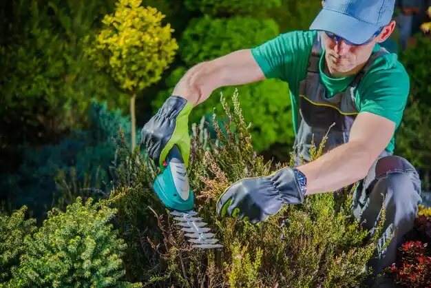 landscaping services Tucker
